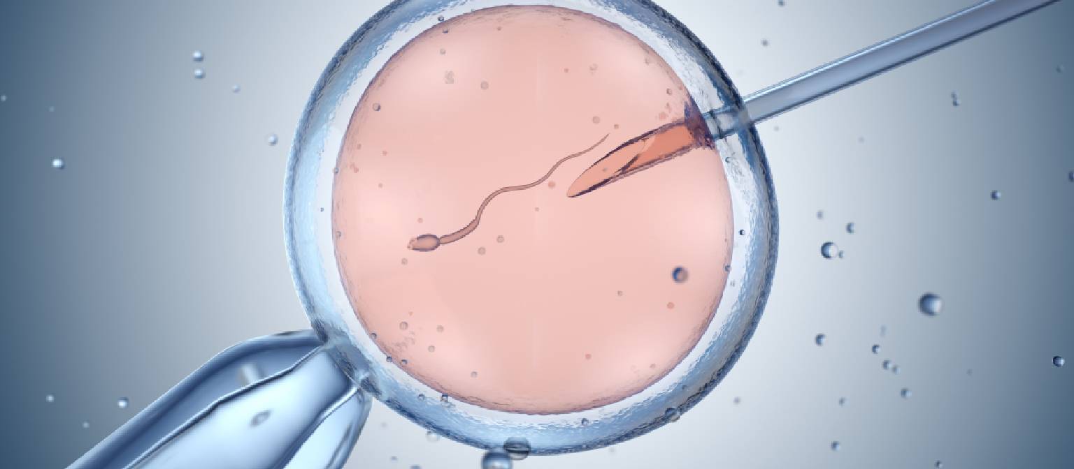 IVF Treatment in Pune