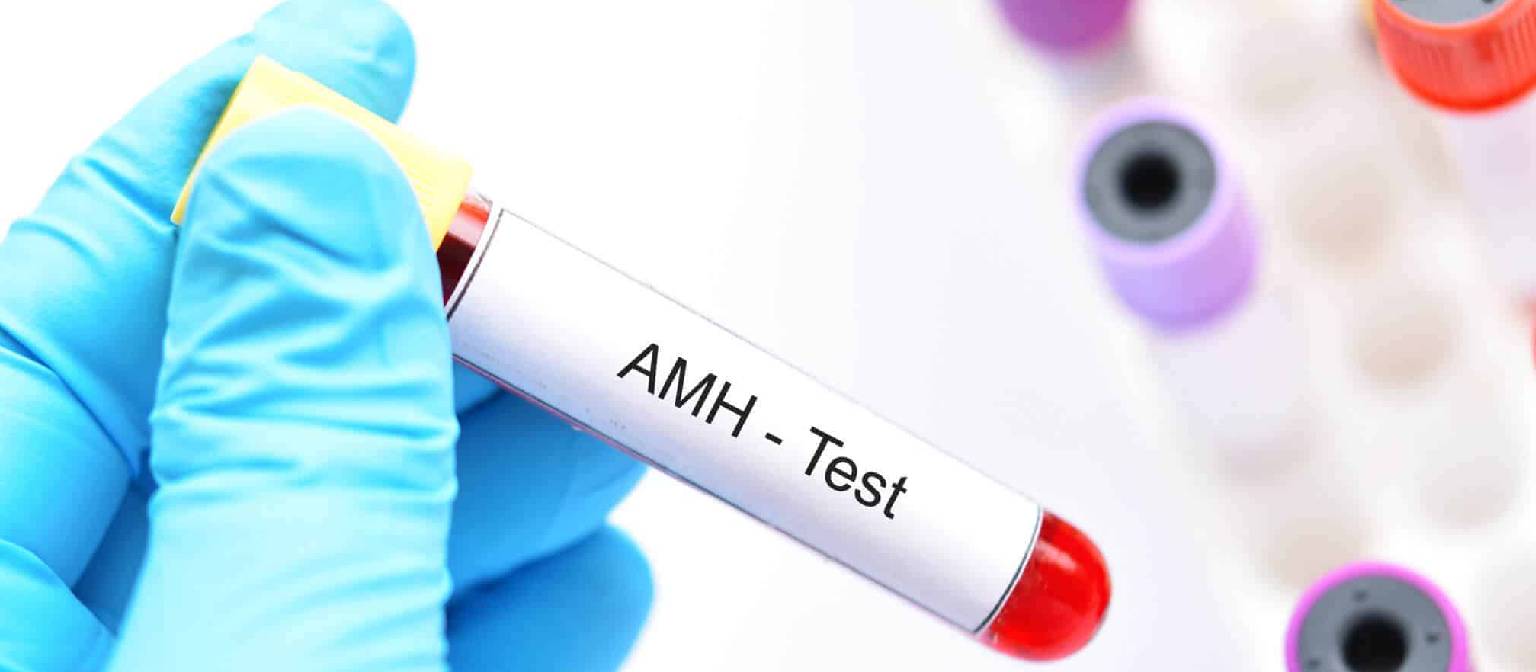 Low AMH (Anti-Müllerian Hormone) Treatmenet in pune