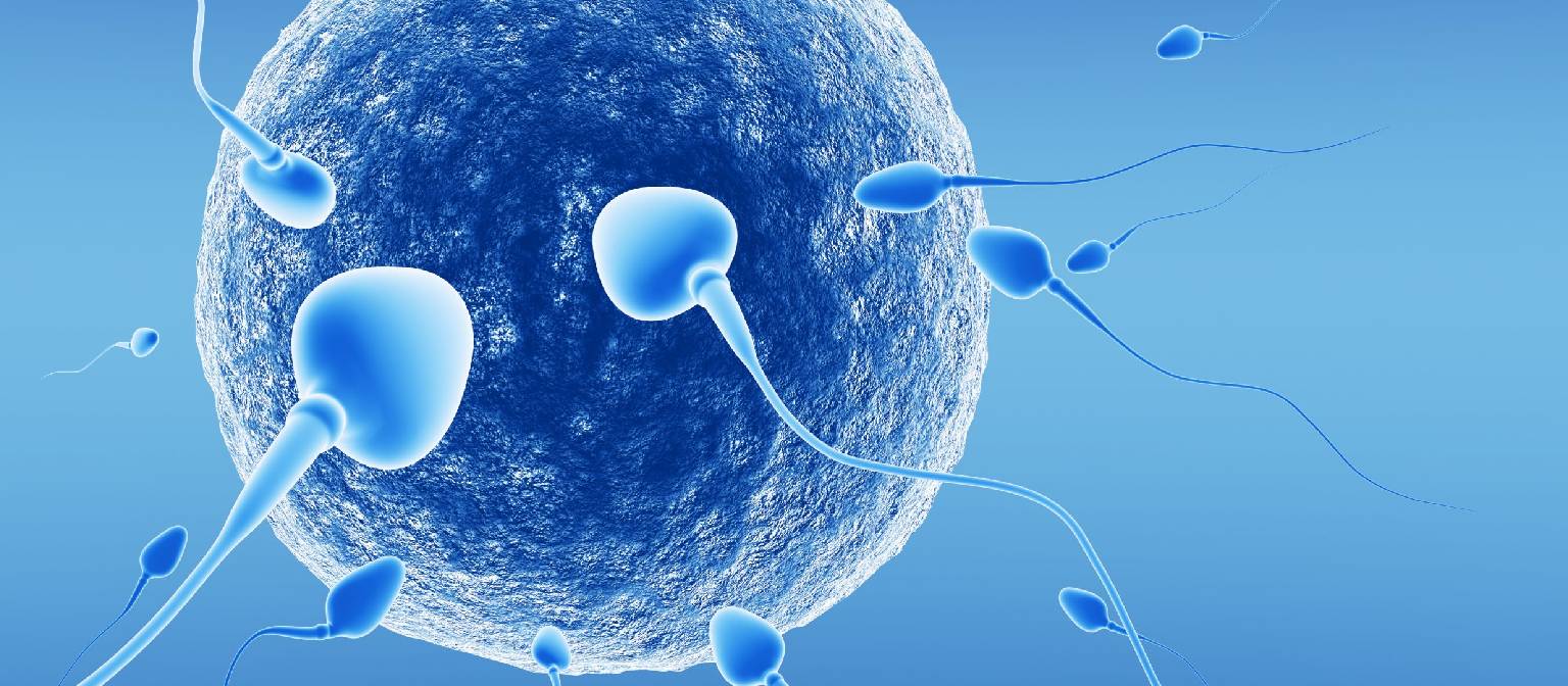 Male fertility Treatment in Pune